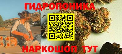 кокс Гусь-Хрустальный