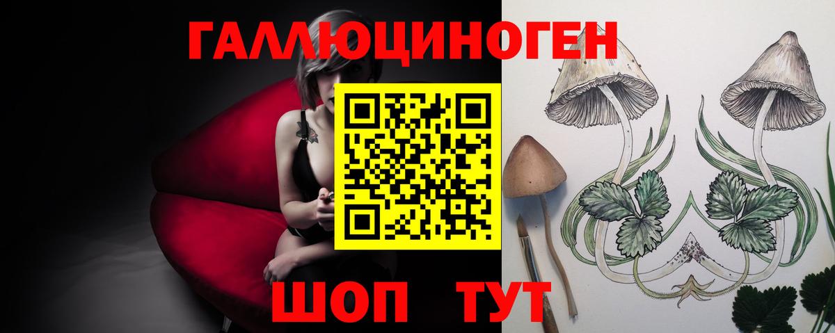 сколько стоит  Вход с VPN  Можга  Галлюциногенные грибы прущие грибы 